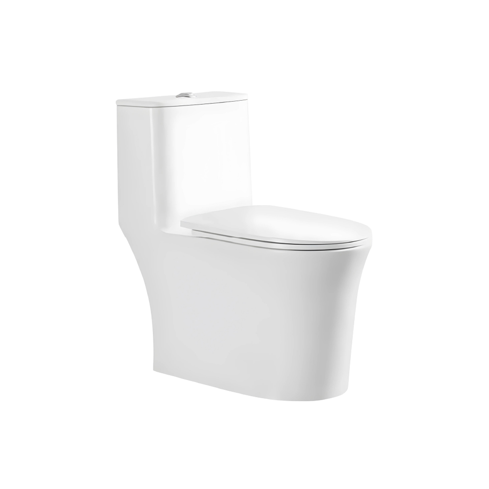 WEES S13002N Rimless One Piece Tornado Flush Water Closet