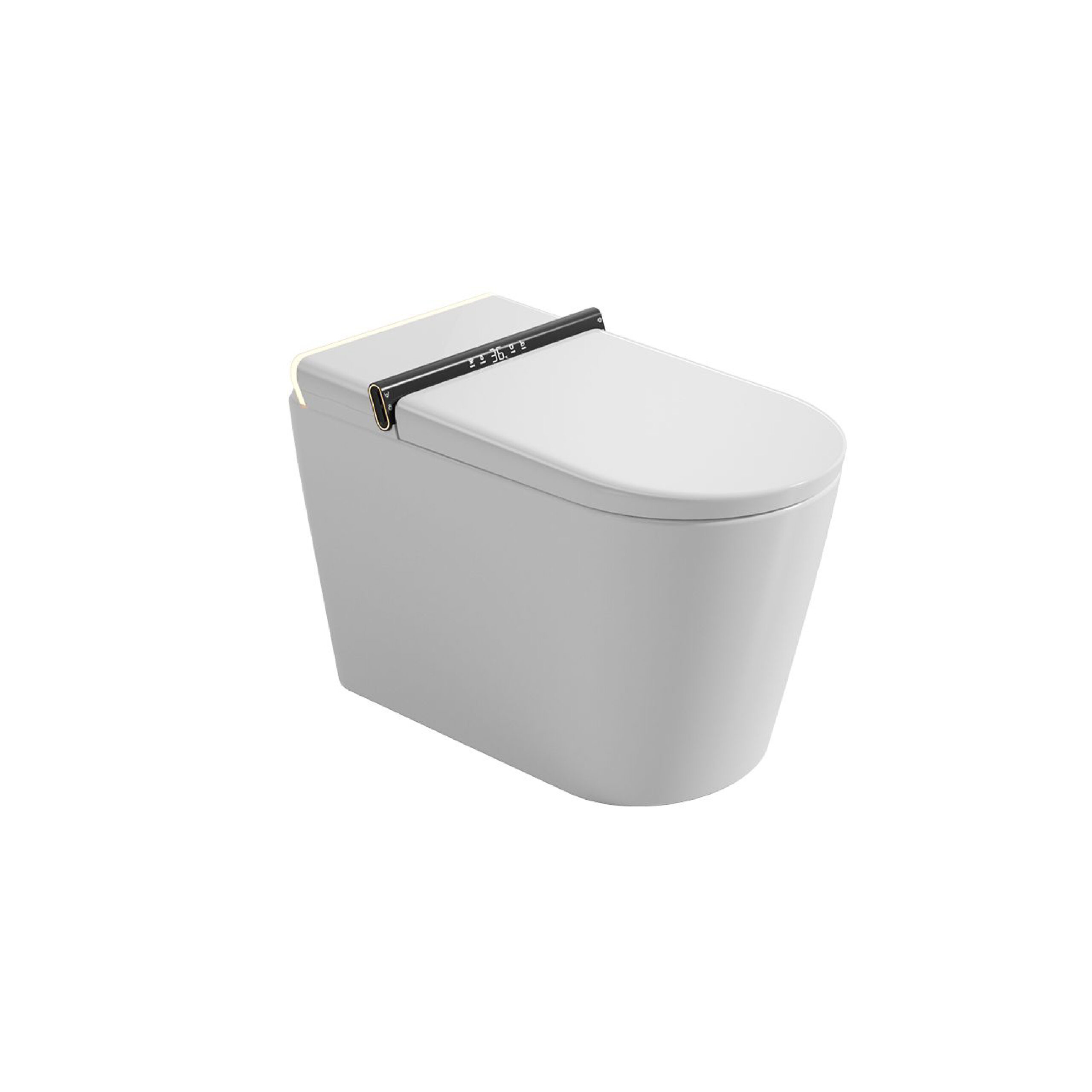 EVO WI165W Intelligent Water Closet
