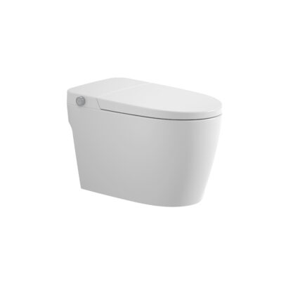 FION WHAF154PBT Pneumatic Bidet Tankless Water Closet with Non-Electric Auto Flush